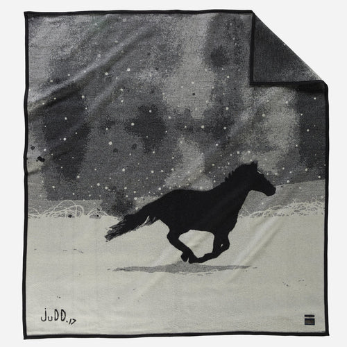 Artist Series Blanket - A Horse Called Paint