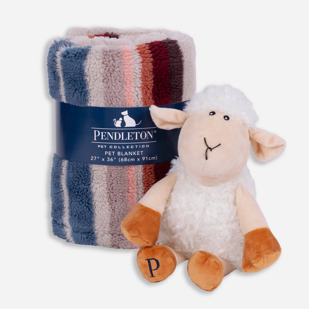 Serape Rosewood Pet Gift Set - Throw & Lamb Toy