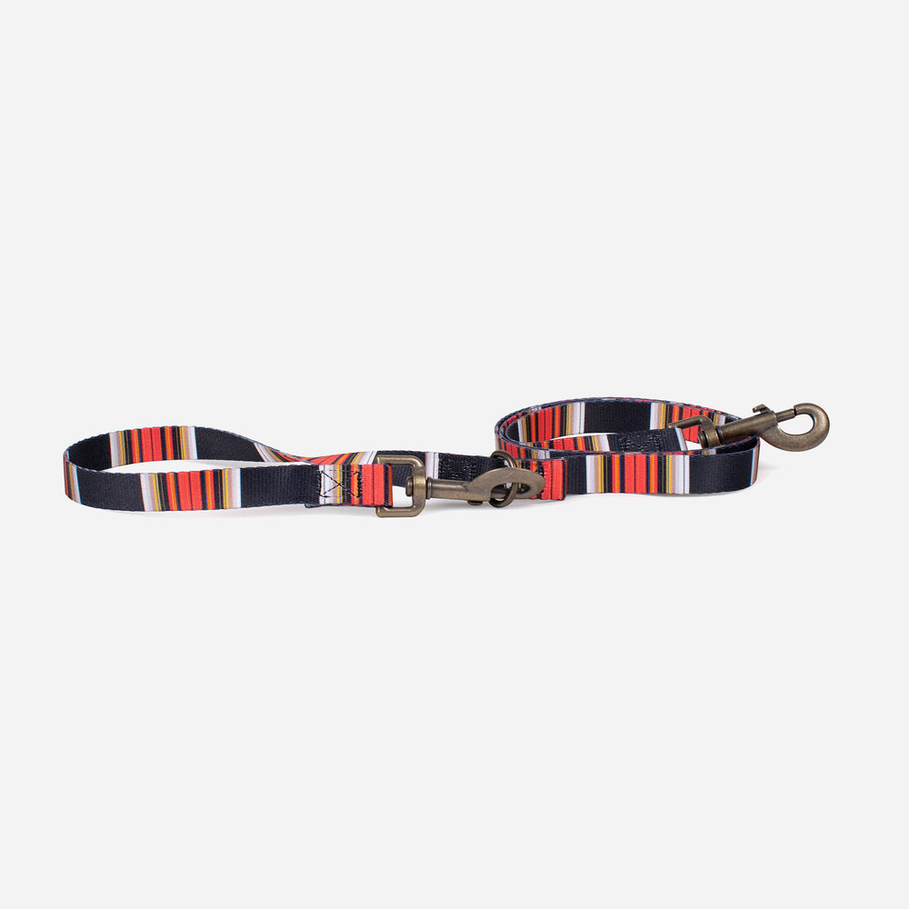 Laisse pour chien du parc national Acadia - Noire