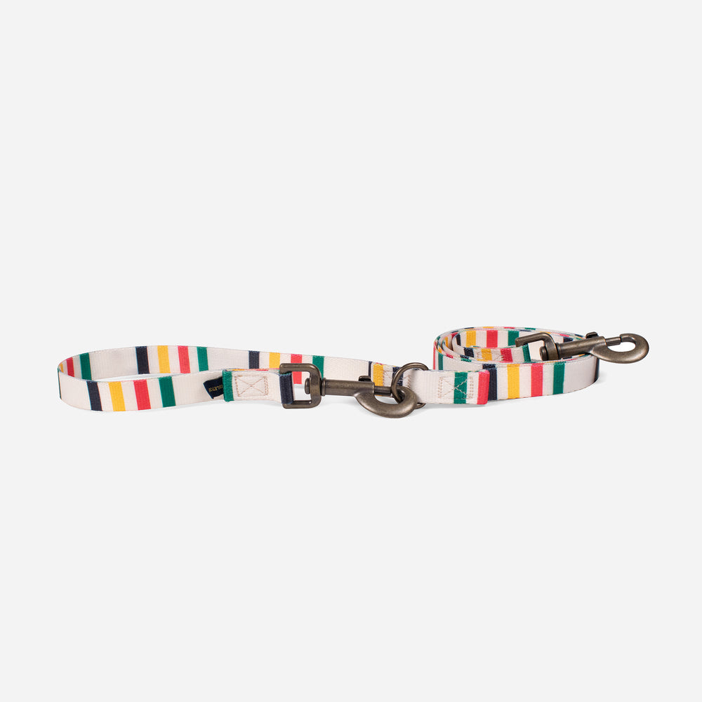 Glacier National Park Dog Lead - White