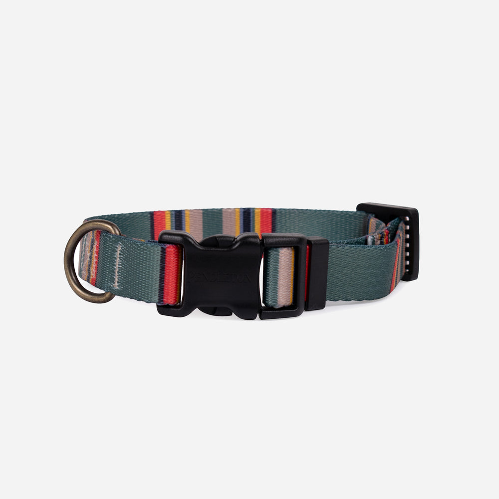 Vintage Camp Dog Collar - Green Heather