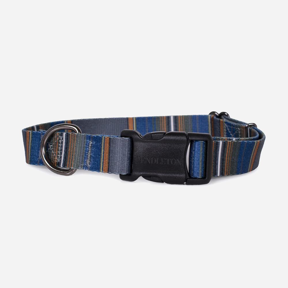 Olympic National Park Dog Collar - Grey