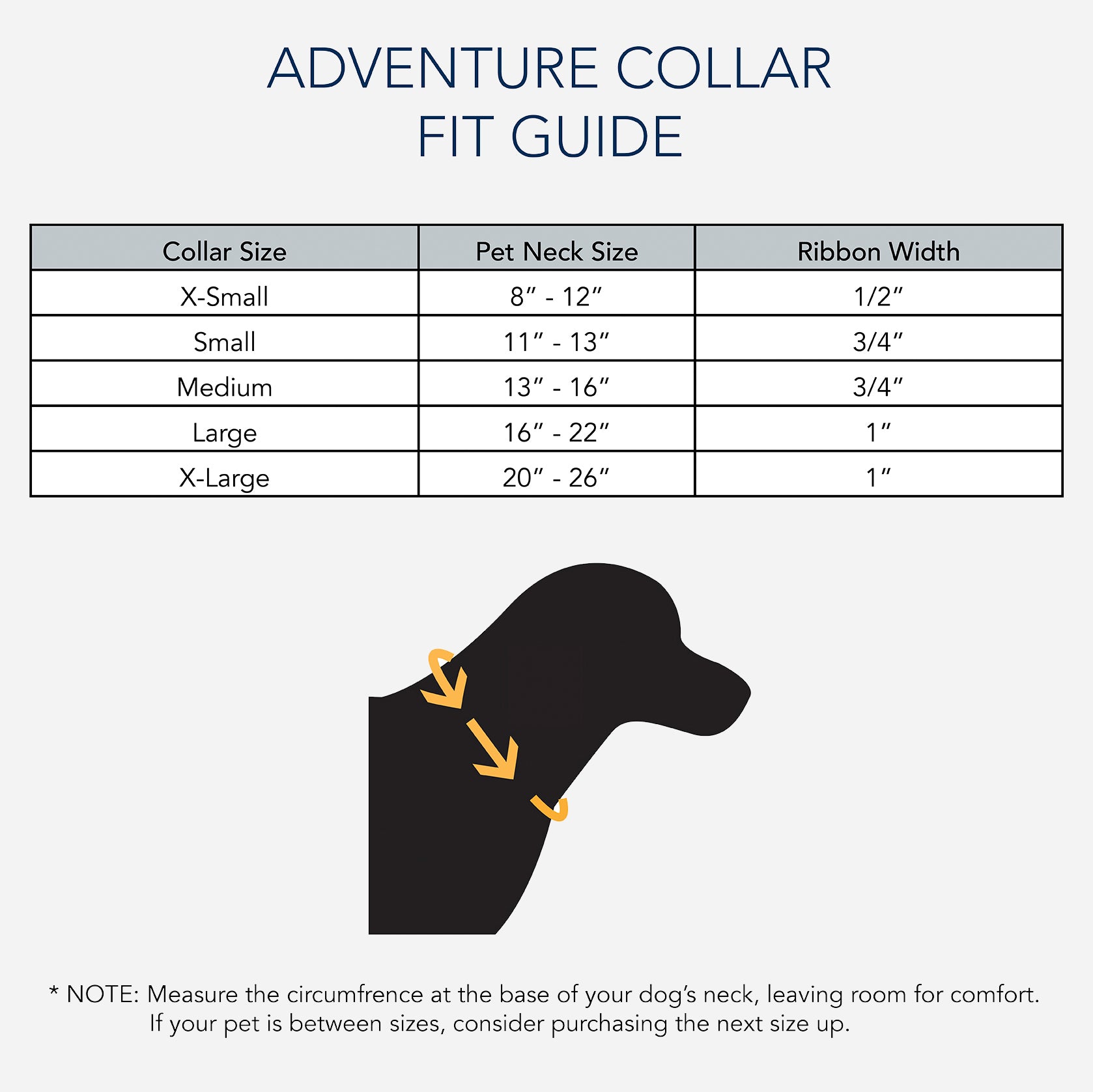 Collier pour chien du parc national d'Acadia - Noir