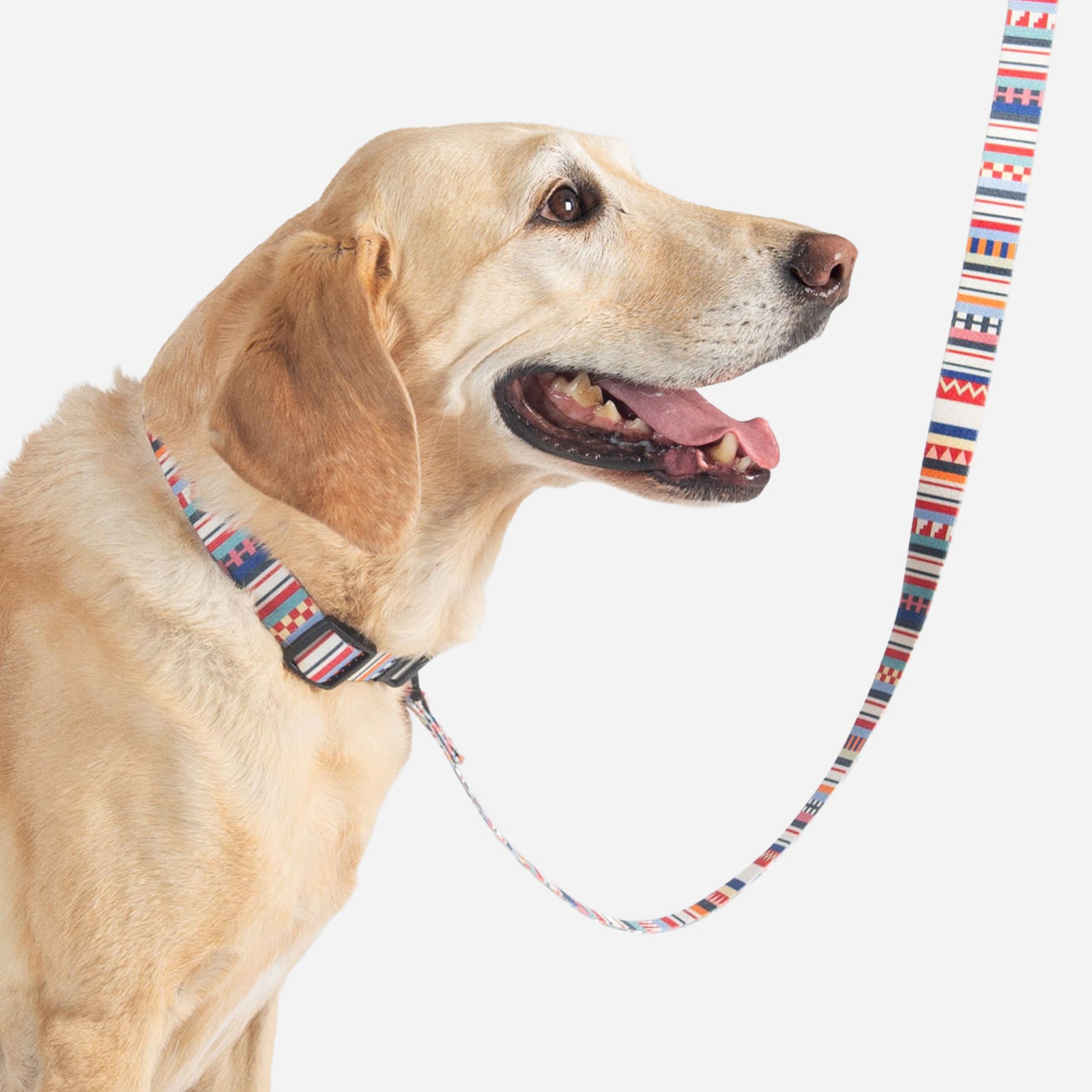 Dog Lead - Tamiami