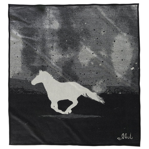 Decke aus der Artist-Serie vorbestellen – Ein Pferd namens Paint 