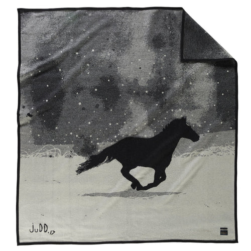 PRÉCOMMANDE Couverture de la série Artist - Un cheval appelé peinture 