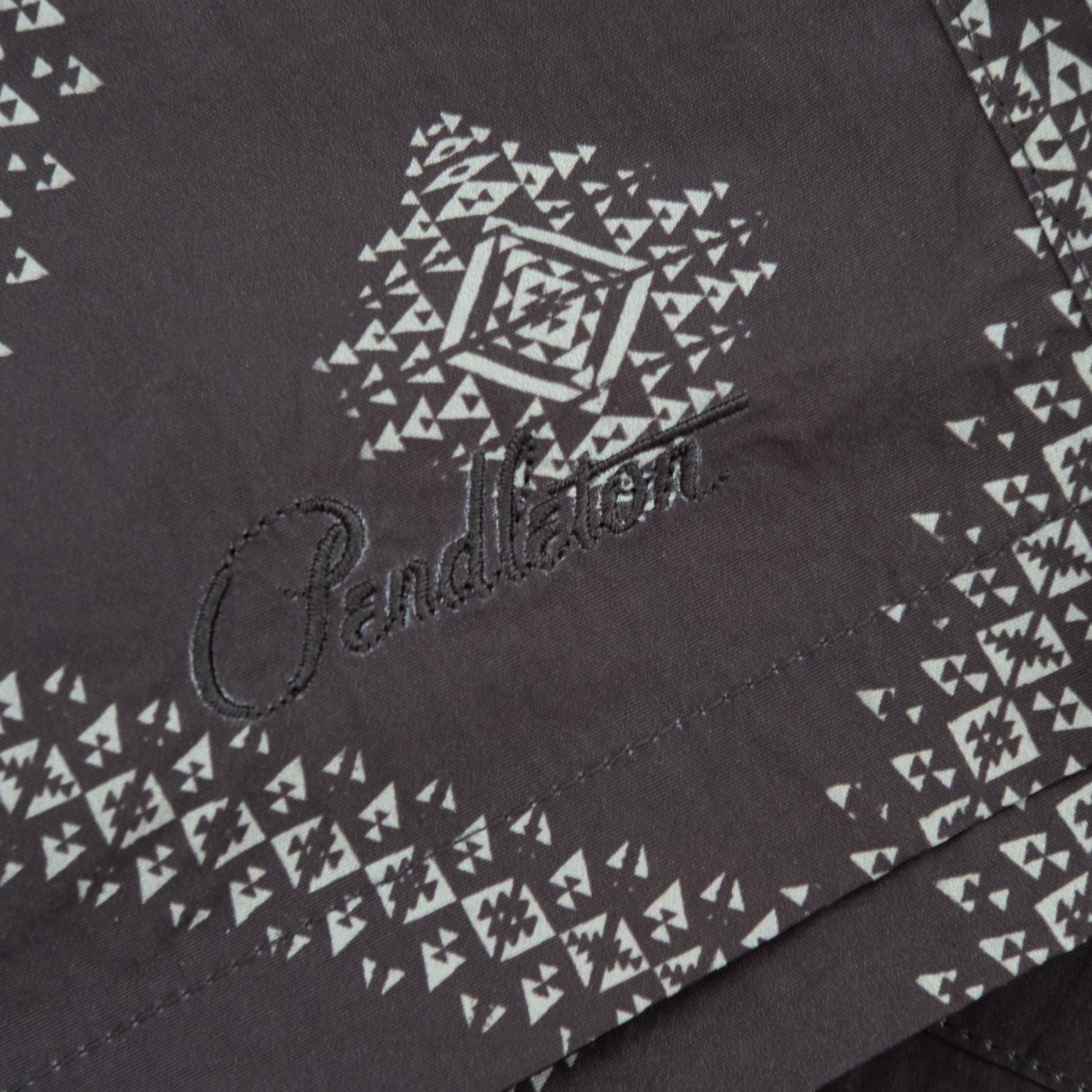 Vacation Swim Short - Bright Cynotope