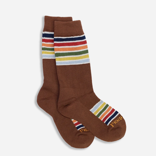 Joshua Tree National Park Socks - Brown