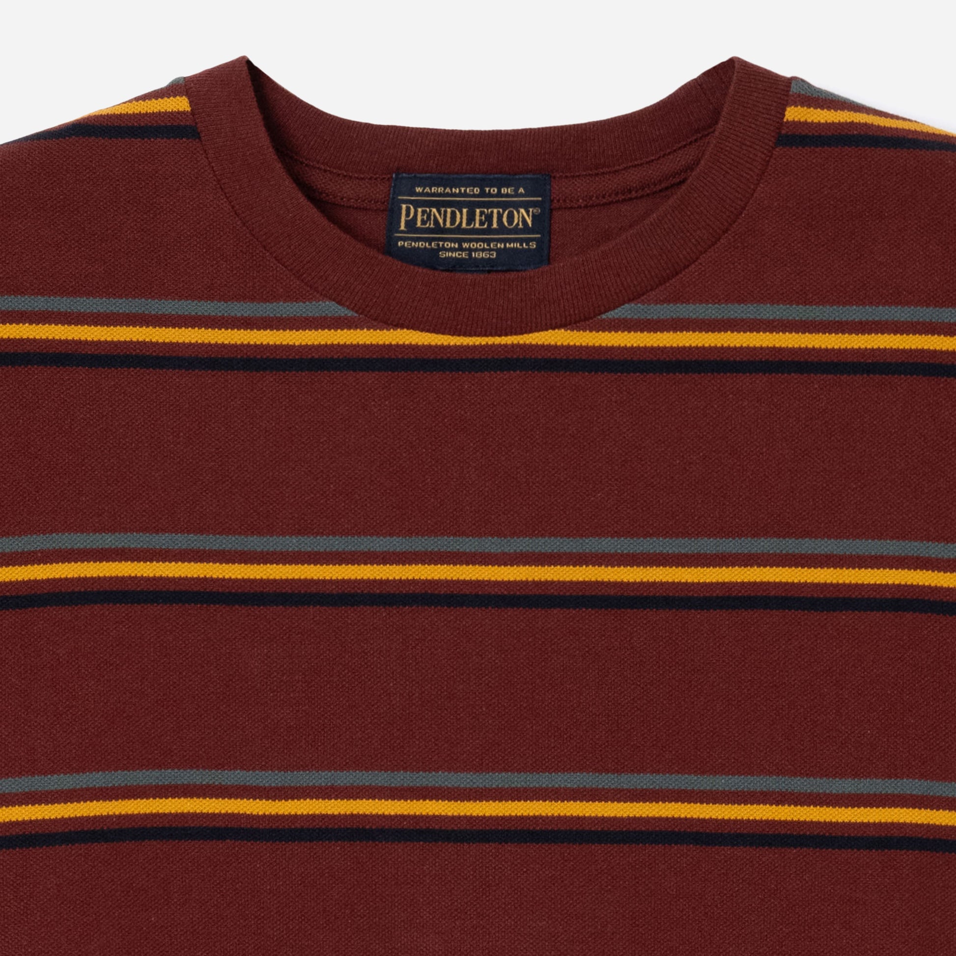 National Park Pique Boarder T-Shirt - Mount Rainer