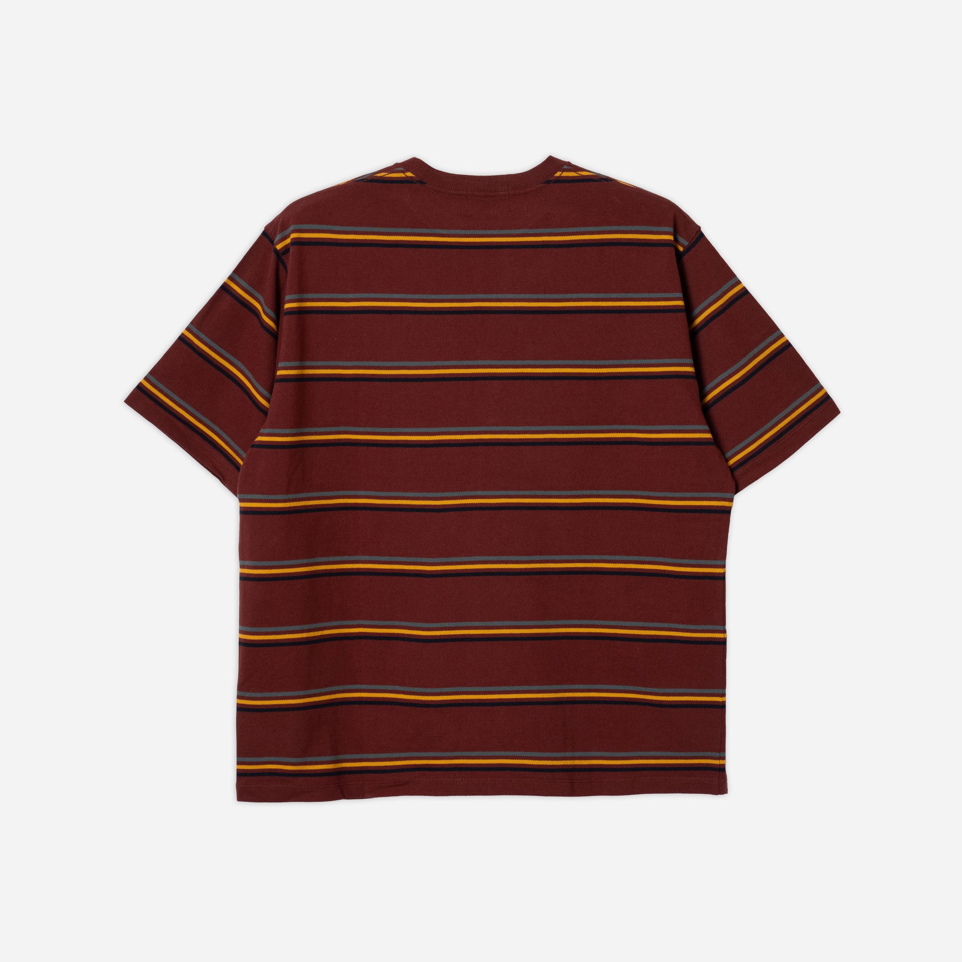 National Park Pique Boarder T-Shirt - Mount Rainer