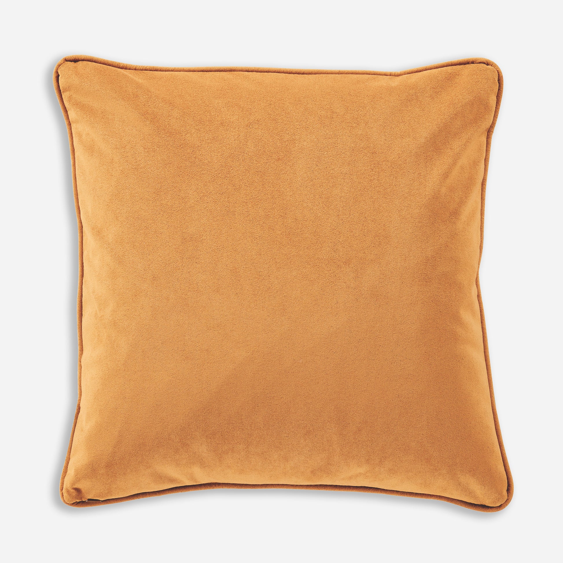 Wyeth Trail Pillow